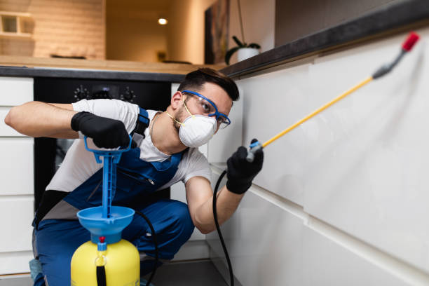 Best Pest Removal Services  in Rogersville, AL