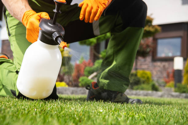 Professional Pest Control in Rogersville, AL