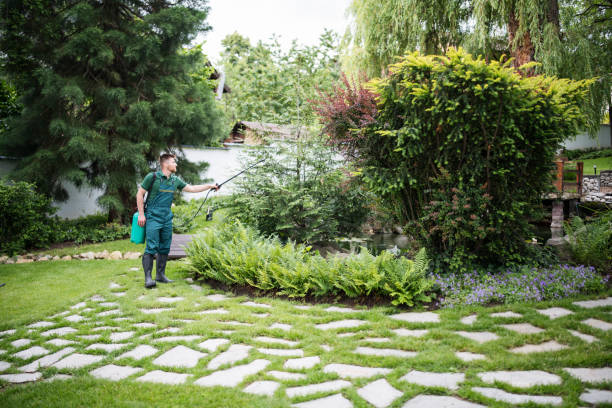 Best Best Pest Control Companies  in Rogersville, AL