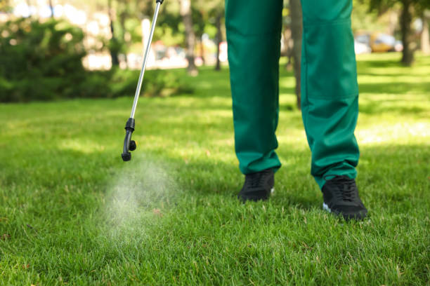 Best Flea Control Services  in Rogersville, AL