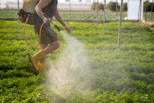Best Commercial Pest Control Services  in Rogersville, AL