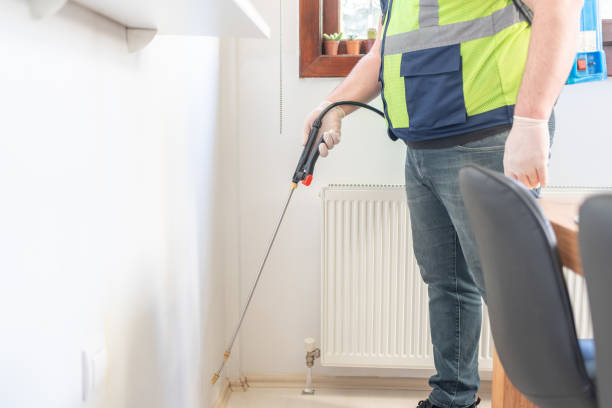 Best Affordable Pest Control Services  in Rogersville, AL