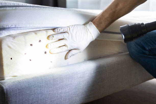 Rogersville, AL Pest Control Pros