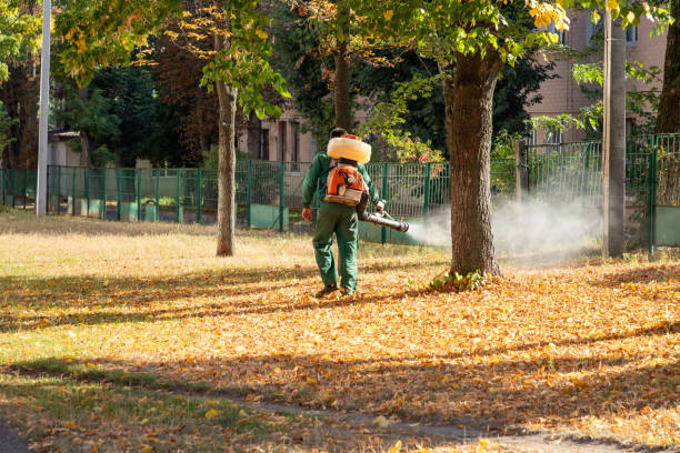 Best Exterminator Services  in Rogersville, AL
