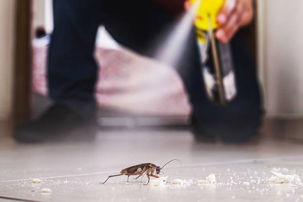 Best Commercial Pest Control Services  in Rogersville, AL