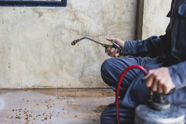 Pest Control Cost in Rogersville, AL